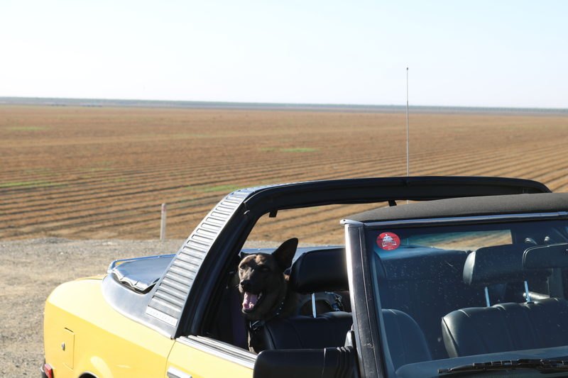 Illustration for article titled Harris Ranch C&C, Toby, and Sunchaser photodump